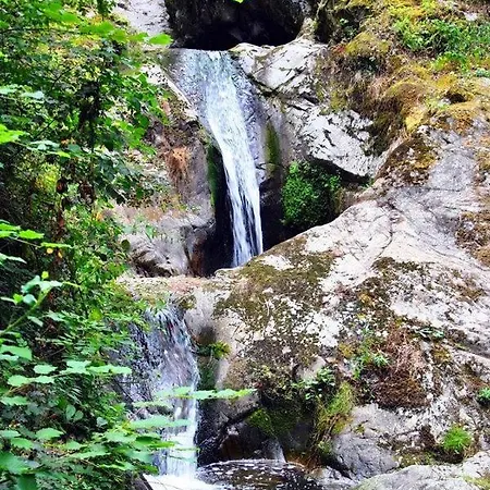 Luxuszelt La P'tite Boheme Gouttières